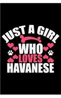 Just A Girl Who Loves Havanese
