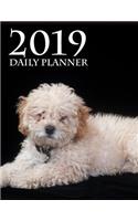 2019 Daily Planner