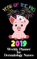 Year of the Pig 2019