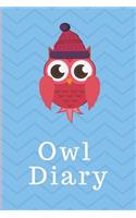 Owl Diary: Owl Notebook - College Rule Lined Writing and Notes Journal