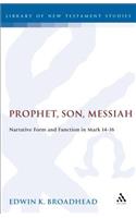 Prophet, Son, Messiah