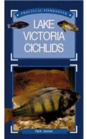 Lake Victoria Cichlids