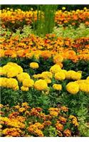 Flower Beds Notebook