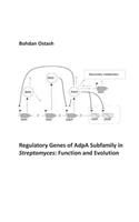 Regulatory Genes of AdpA Subfamily in Streptomyces