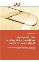 Agrégation des amphiphiles en solutions salées riches en alcool