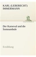 Der Karneval Und Die Somnambule: Erzahlung(German)