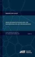 Oberflächendefektausheilung und Festigkeitssteigerung von niederdruckspritzgegossenen Mikrobiegebalken aus Zirkoniumdioxid