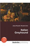 Italian Greyhound