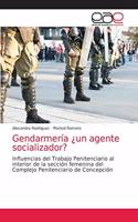 Gendarmería ¿un agente socializador?