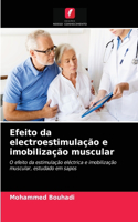 Efeito da electroestimulação e imobilização muscular
