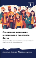 Социальная интеграция школьников с синдр