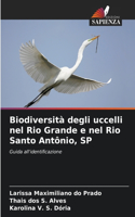 Biodiversità degli uccelli nel Rio Grande e nel Rio Santo Antônio, SP