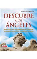 Descubre a Los Angeles