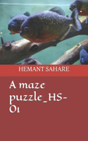 maze puzzle_HS-01