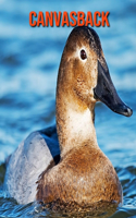 Canvasback: Amazing Photos & Fun Facts Book About Canvasback For Kids