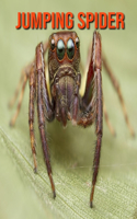 Jumping Spider: Fun Facts & Cool Pictures