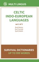 Celtic Languages Survival Dictionaries (Set 2 of 2)