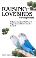 Raising Lovebirds for Beginners