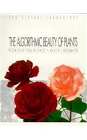 Algorithmic Beauty of Plants