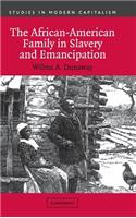 African-American Family in Slavery and Emancipation