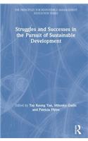 Struggles and Successes in the Pursuit of Sustainable Development
