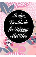 I Am Gratitude for Having Met You