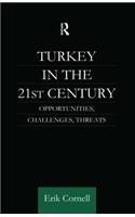 Turkey in the 21st Century