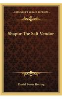 Shapur the Salt Vendor