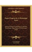 Negro Progress in a Mississippi Town