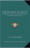 Aeroplanes in Gusts