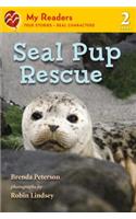 Seal Pup Rescue