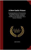 A New Gaelic Primer