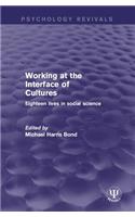 Working at the Interface of Cultures