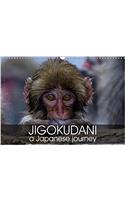 Jigokudani a japanese journey 2018: An incredible journey with snow monkeys(Calvendo Animals)