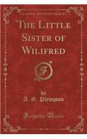 The Little Sister of Wilifred (Classic Reprint)