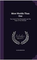 More Worlds Than One