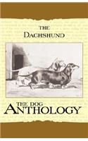 Daschund - A Dog Anthology (A Vintage Dog Books Breed Classic)