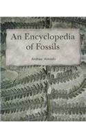 The Encyclopedia of Fossils: Leveled Reader Grade 2(Rigby Literacy by Design)