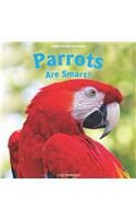 Parrots Are Smart!