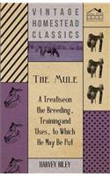 The Mule - A Treatise On The Breeding, Training And Uses, To Which He May Be Put