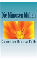 Die Mimosen blühen