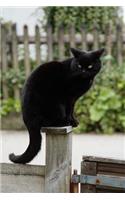 Black Cat Keeping Watch Journal