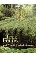Tree Ferns