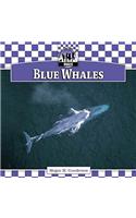 Blue Whales