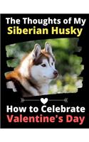 The Thoughts of My Siberian Husky