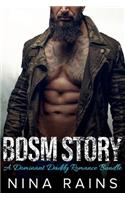 BDSM Story