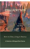 Dislocation: Born in China, Living in America