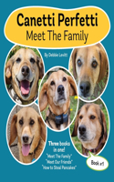 Canetti Perfetti: Meet The Family: Book 1