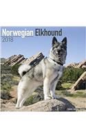 Norwegian Elkhound Calendar 2018