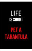 Life Is Short Pet a Tarantula